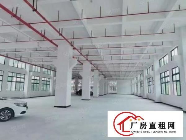  现成家具环评排污证东莞高埗独门独院标准厂房出租超大空地