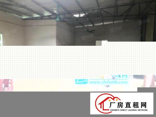 高埗新出独栋单一层超大空地厂房3000平方