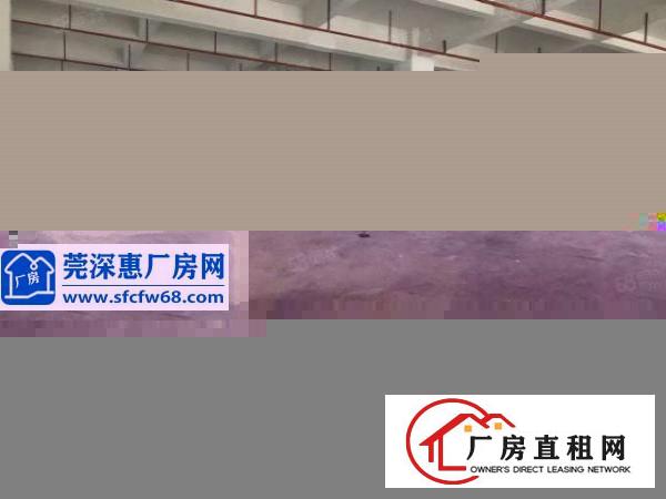  可办环评东莞高埗镇独院实业客分租5300平方