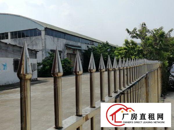  高埗低涌新出大空地的单一层厂房1700