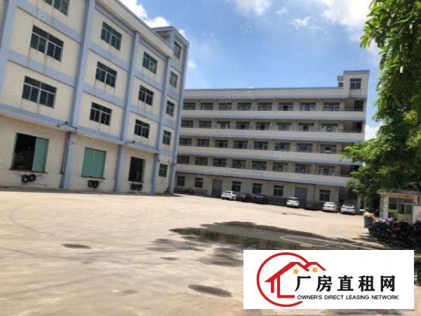  高埗新出原房东独门独院标准厂房，面积2W，环境好，易招工