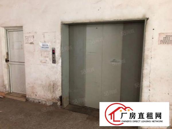  高埗新出原房东独门独院标准厂房，面积2W，环境好，易招工