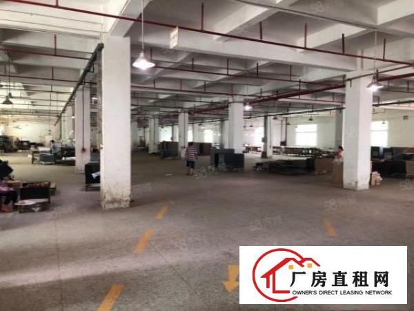  高埗新出原房东独门独院标准厂房，面积2W，环境好，易招工