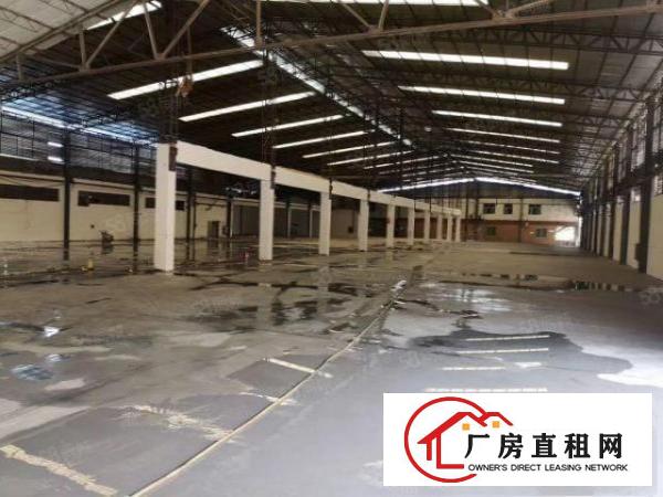  高埗新出单一层独院厂房7880平米！