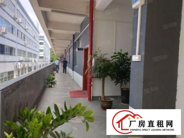  高埗高龙路小独栋超靓厂房出租