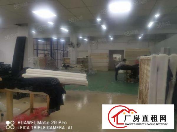  高埗欧邓村附近4500平方厂房出租交通便利