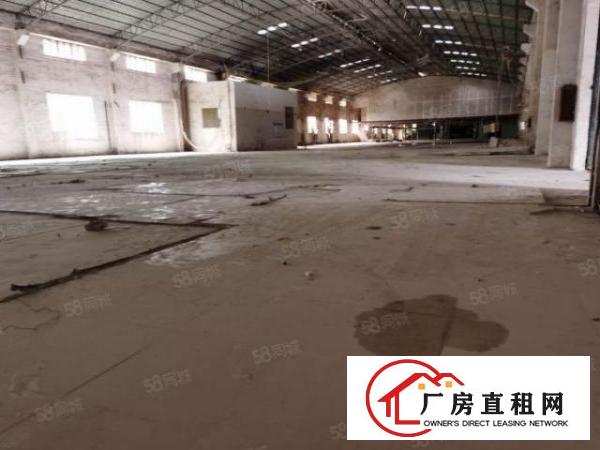  高埗独门独院单一层厂房带纸品环评出租
