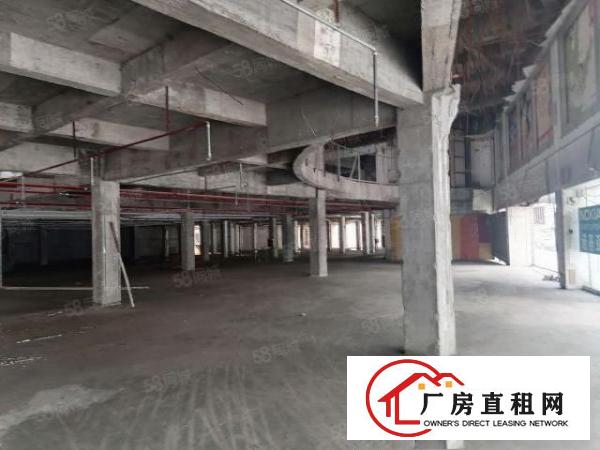  高埗镇新出可做厂房可做商铺厂房，价格8元起租，可办环评