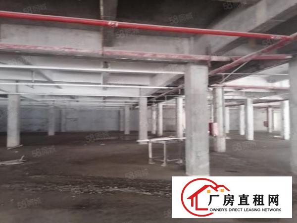  高埗镇新出可做厂房可做商铺厂房，价格8元起租，可办环评