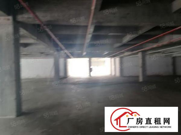  高埗镇新出可做厂房可做商铺厂房，价格8元起租，可办环评