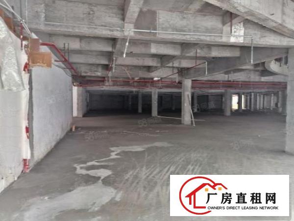  高埗镇新出可做厂房可做商铺厂房，价格8元起租，可办环评