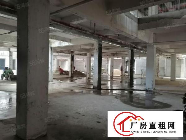  高埗镇新出可做厂房可做商铺厂房，价格8元起租，可办环评