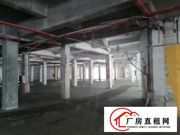  高埗镇新出可做厂房可做商铺厂房，价格8元起租，可办环评