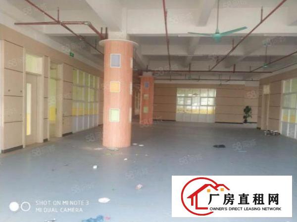  高埗新出绝世靓盘，标准独院厂房可商可工
