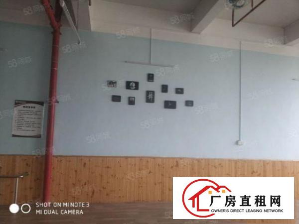  高埗新出绝世靓盘，标准独院厂房可商可工