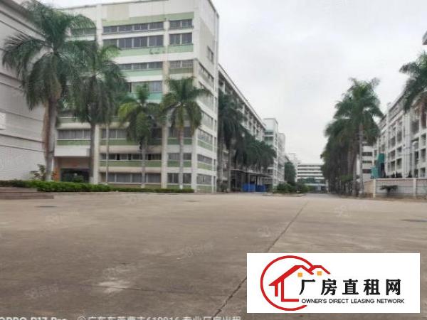  高埗镇原房东厂房可办理环评厂房出租