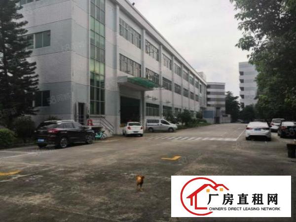  高埗卢溪工业园独门独院，大小可分租超靓厂房