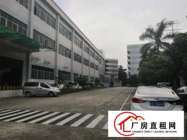  高埗卢溪工业园独门独院，大小可分租超靓厂房