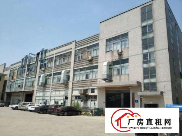  高埗冼沙新出200平方一楼地段非常好