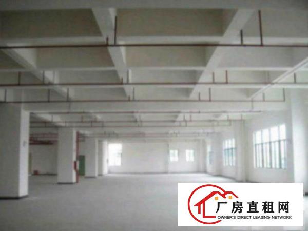  望牛墩标准一楼厂房500-4000平米低价招租适合五金机械等