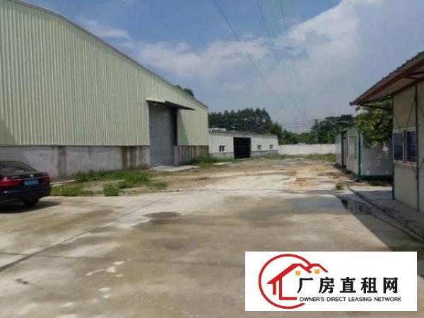  望牛墩现有独院钢构厂房分租1栋2000平方出租