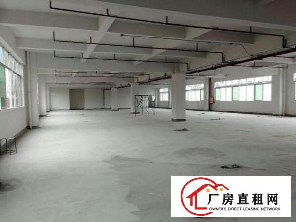  望牛墩工业园楼上厂房分租1500平方左右出租带装修,空地大