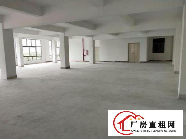  望牛墩一楼厂房出租4001500、2000平方出租