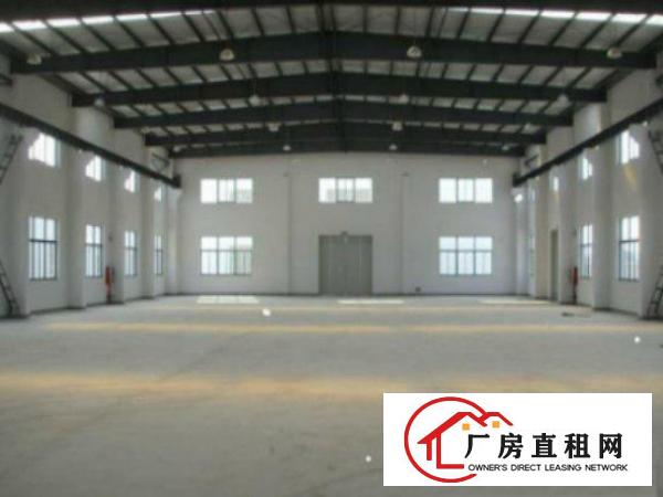 望牛墩新出独门独院厂房3600平方钢构单一层，配套齐全