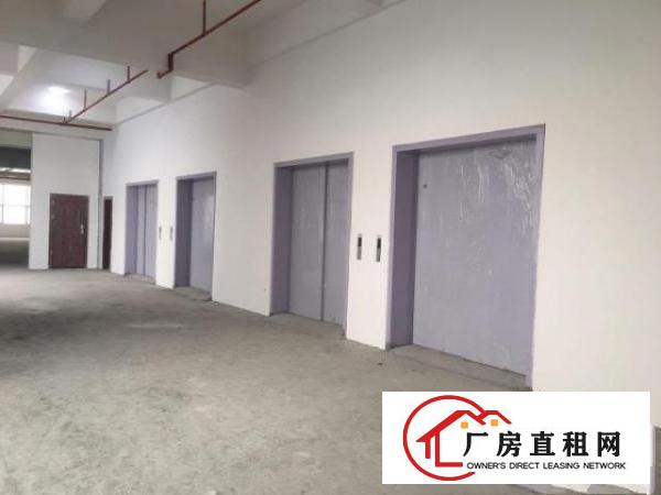  东莞市政府推进粤港澳大湾区新建项目招租