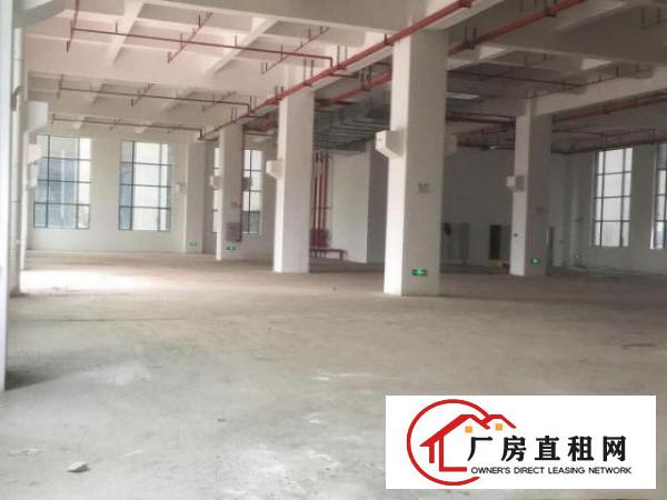  东莞市政府推进粤港澳大湾区新建项目招租