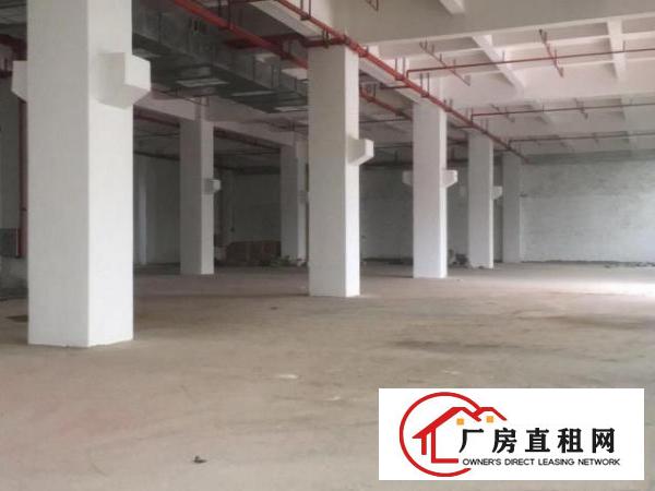  东莞市政府推进粤港澳大湾区新建项目招租