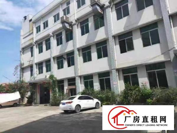  全新~望牛墩厂房出租