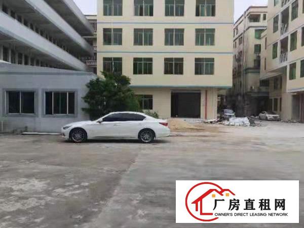  全新~望牛墩厂房出租