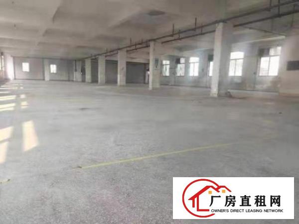  全新~望牛墩厂房出租