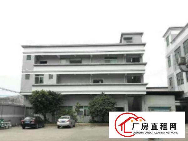 望牛墩独院标准厂房6500平方出租独立豪华办公室700平方