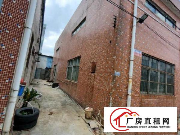  便宜出租单层一楼厂房