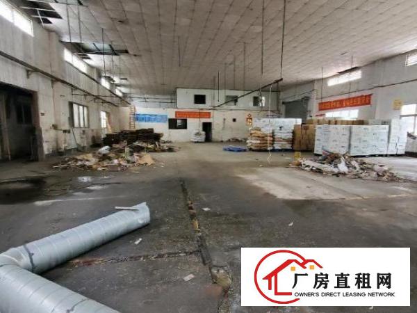  便宜出租单层一楼厂房
