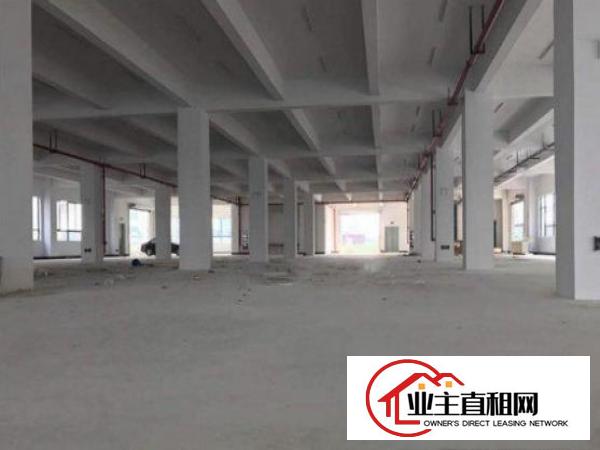  望牛墩标准一楼厂房800或1000㎡出租配套齐全工业区环境好