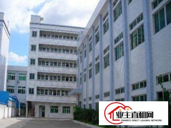  望牛墩标准厂房分租楼上1000平超大超靓有电梯宿舍按需