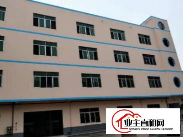  望牛墩独院厂房一栋1-4楼出租共5000平方,形象好交通方便