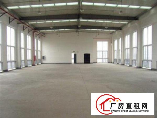  望牛墩工业园单一层厂房分租2000平米