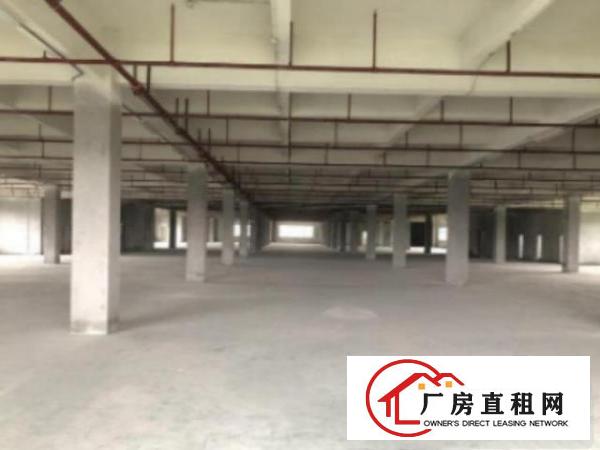  望牛墩花园式厂房分租一楼2000平方,价格便宜地段好