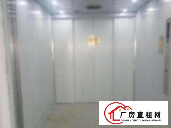  望牛墩工业区标准一楼1000平方招租水电齐全