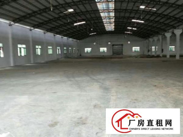  望牛墩独院单一层铁皮3500平米厂房仓库出租装修齐全价格便宜