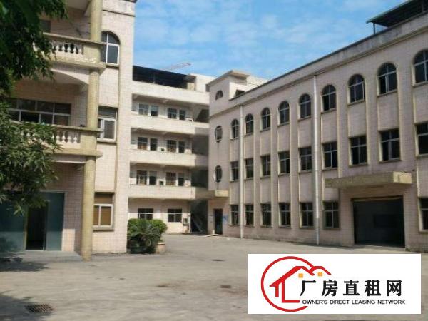  望牛墩独院标准厂房一楼2000平方出租适合五金、塑胶等行业