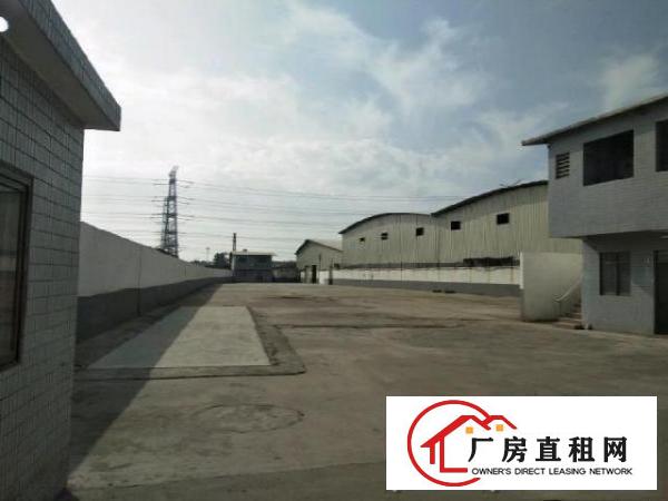  望牛墩中堂麻涌洪梅等资源多