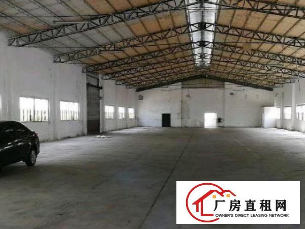  望牛墩独院单一层钢结构铁皮1800平方厂房出租