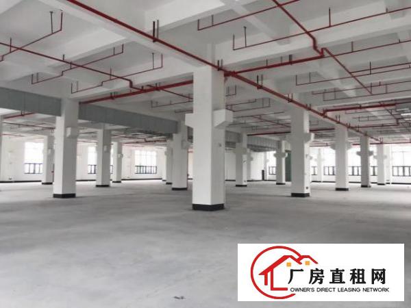  望牛墩全新带红本标准厂房，配两部汽车电梯