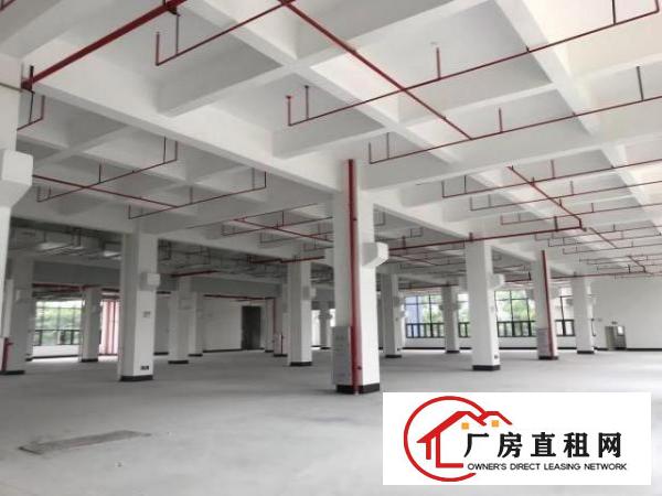  望牛墩全新带红本标准厂房，配两部汽车电梯