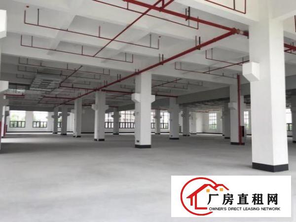  望牛墩全新带红本标准厂房，配两部汽车电梯